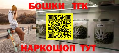 ECSTASY Камышлов