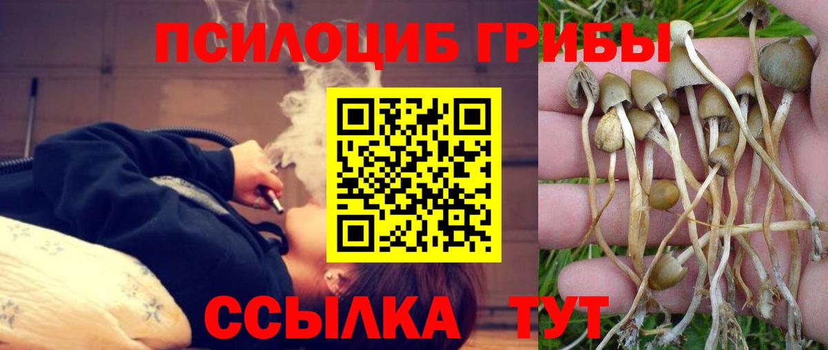 Псилоцибиновые грибы GOLDEN TEACHER  Вход с VPN  Галлюциногенные грибы прущие грибы  Кушва 