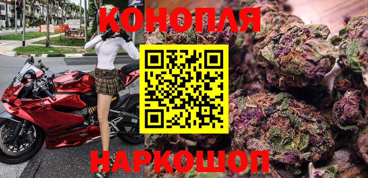 Конопля семена Кушва